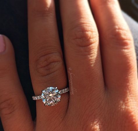 Elegant Wedding Rings, Dream Wedding Ring, Pave Diamond Engagement Rings, Round Solitaire Engagement Ring, Engagement Ring Inspiration, Future Engagement Rings, Beautiful Wedding Rings, Engagement Rings Round, Dream Engagement Rings