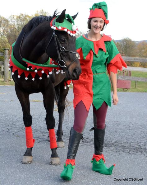 Christmas Horse And Rider Costumes, Grinch Horse Costume, Horse Christmas Costume, Christmas Horse Costumes, Horse Christmas Parade, Christmas Horse Costumes Elf, Horse Stall Decorations, Horse Custom Halloween, Horse Halloween Costumes