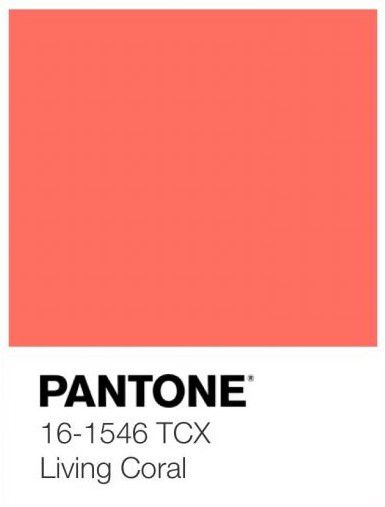 Coral Paint Colors, Coral Interior, Coral Colour Palette, Coral Wallpaper, Coral Walls, Pantone Colour Palettes, Pantone Color Of The Year, Coral Design, Live Coral