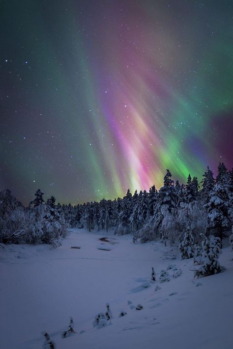 Northern Lights in Lapland, Finland by Reddit user rraaxx Winter Drawings, Lapland Finland, Winter Girl, Winter Wallpaper, Harvest Moon, Winter Diy, Winter Forest, Winter Wonder, Winter Landscape