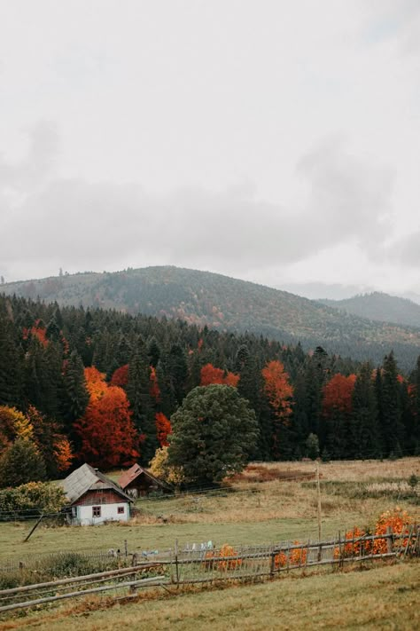 Autumn Nature Wallpaper, Ukraine Landscape, Ukraine Wallpaper, Carpathian Mountains Ukraine, Ukraine Culture, Ukraine Aesthetic, Autumn Mountains, Mountain Aesthetic, Mountains Aesthetic