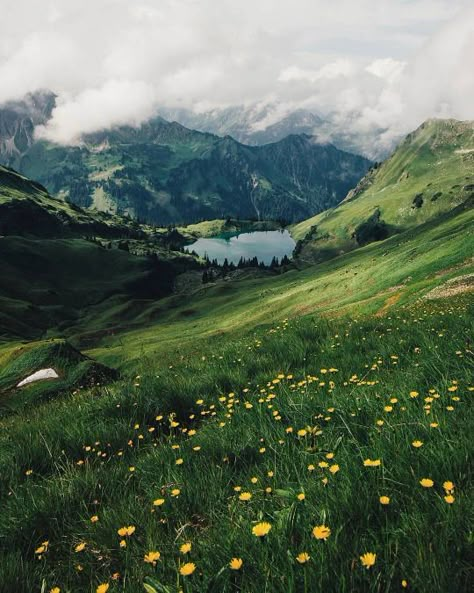 Green rolling hills and mountains with white clouds and yellow flowers رورونوا زورو, Grassy Field, Skateboarder, Adventure Is Out There, Nature Aesthetic, Pretty Places, Nature Travel, Wonderful World, Beautiful World