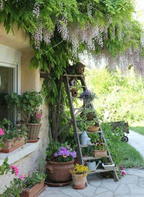 ☮ American Hippie Bohéme Boho Lifestyle ☮ Patio .. Ladder Taman Vintage, Ladder Plant Stand, Decoration Photography, Side Yards, Garden Decoration Ideas, Cottage Garden Design, Nature Architecture, Have Inspiration, A Ladder