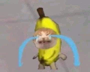 Crying banana cat meme Banana Cat, Laugh Out Loud, Top Funny, Out Loud, Kim Taehyung