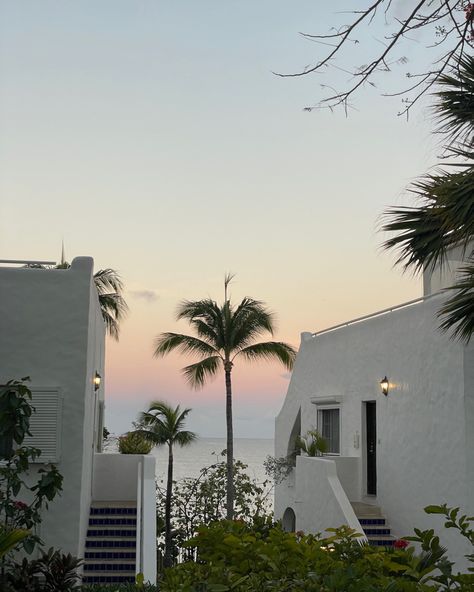 Sunrise | palm tree | pink sky | ocean | beach sunrise | white building | beach | ocean | caribbean sunrise | caribbean travel | luxury travel | luxury hotel | belmond hotels | art of belmond | Saint Martin | St Martin | French West Indies | travel photo | aesthetic sunrise #travel travel photography #travelphotographer #caribbean #luxury #luxurytravel #aesthetic St Martin Aesthetic, St Thomas Aesthetic, Saint Martin Caribbean, St Martin Caribbean, Caribbean Aesthetic, Saint Martin Island, Caribbean Summer, Martin French, Aesthetic Sunrise