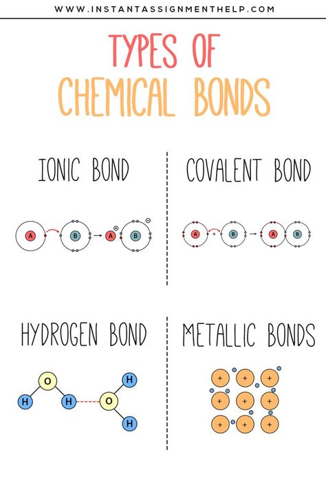 Types of Chemical Bonds Chemical Bonds, Chemistry Study Guide, Chemistry Basics, Study Chemistry, Chemistry Classroom, Chemistry Education, Chemistry Worksheets, Homework Helpers, Covalent Bonding