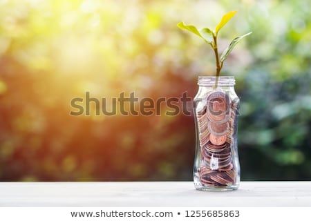 Savings, investment and interest concept : Stacked coins in glass jar and plant growing on top on wood table with green nature as background. Depicts the growth of capital investment. Pink Wallpaper Quotes, Systematic Investment Plan, Savings Money, Real Estate Design, Money Investment, Savings And Investment, Estate Design, Plant Growing, Borrow Money