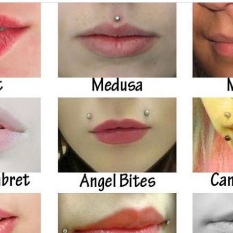 OUFER BODY JEWELRY on Instagram: "What would you get for your next piercing? 👄👄 😘😘Lern more @ouferbodyjewelry #ouferbodyjewelry #bodypiercing #lippiercing #piercinglover #piercedgirl #medusa #verticallabret #piercingknowledge" Ashley Lip Piercing Aesthetic, Upper Lip Piercing Medusa, Tiny Medusa Piercing, Inside Mouth Piercings, Raccoon Bites Piercing, Bottom Lip Piercing Middle, Medusa And Labret Piercing, Medusa Piercing Small Lips, Lobotomy Piercing