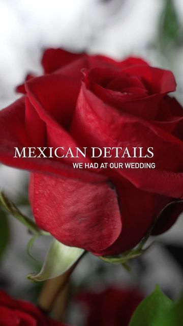 Paleta Cart, Modern Day Wedding, Diy Everything, Mexican Inspired Wedding, Modern Mexican, Boda Mexicana, Mexican Wedding, Mexican Culture, Day Wedding