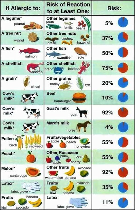 This is a comprehensive list of things they will not eat: | 5 Types Of OCD Friends You Know And Love Food Allergy Awareness, Food Allergies Awareness, Lentils Beans, Nut Allergy, Peanut Tree, Allergy Awareness, Organic Recipes Healthy, School Nursing, Peanut Allergy