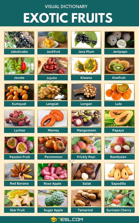 Fruits And Vegetables List, Fruits Name In English, Fruits Name, Vegetables List, Fruit Names, Fruit List, Food Vocabulary, Visual Dictionary, Food Info