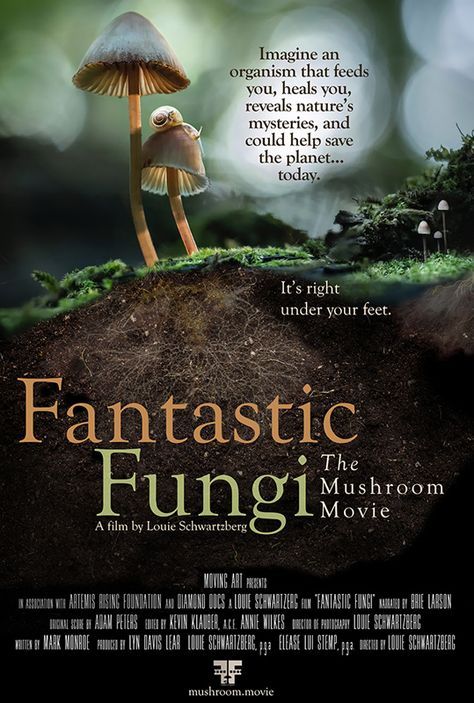 Fantastic Fungi, Documentaries To Watch, Popular Ads, The 5th Wave, Office Movie, Box Office Movie, Documentary Movies, Films To Watch, Secrets Of The Universe