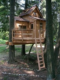 Kids Tree House, Adult Tree House, Backyard Treehouse, Simple Tree House, Tree House Ideas, Kids Tree, Treehouse Ideas, Beautiful Tree Houses, Building A Treehouse