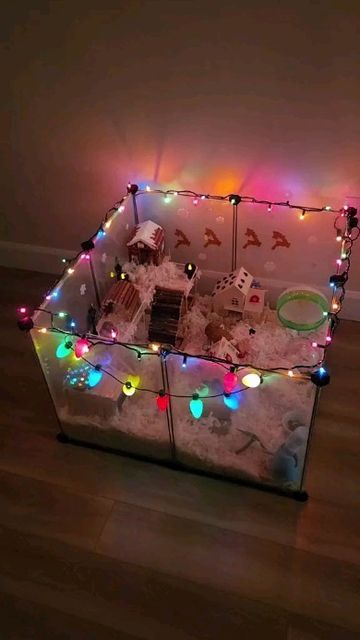 Teddy Bear Hamster Cage Ideas, Hamster Furniture, Hamster Cage Ideas Aesthetic, Diy Hamster House, Hamster Tank, Diy Hamster Toys, Pet Rat Cages, Hamster Diy Cage, Cool Hamster Cages