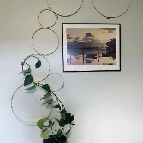 Diy Wall Trellis Indoor, Trailing Pothos Wall, Macrame Plant Trellis, Diy Hoop Trellis, Diy Chain Trellis, Diy Indoor Trellis Ideas, Diy Pothos Trellis, Diy Circle Trellis, Pothos Trellis