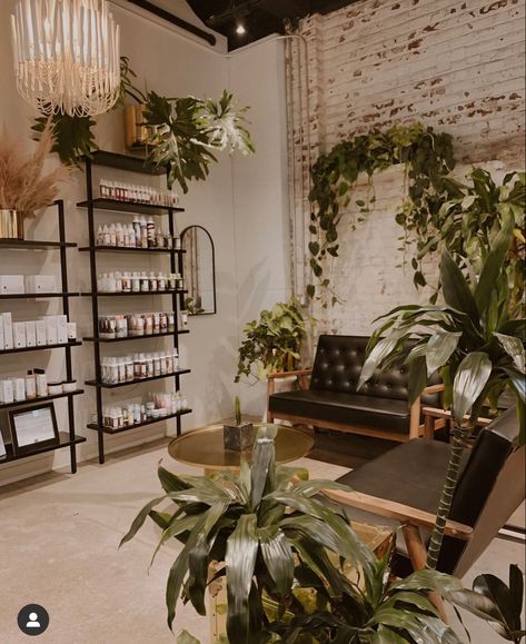 Simple Modern Salon Design, Greenery Spa Room, Salon Plants Decor, Esthetician Room Decor Green, Nature Salon Design, Natural Salon Decor Interior Design, Salon Wood Wall, Brick Wall Spa Room, Boho Aesthetic Salon