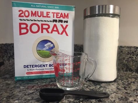 Best Homemade Traps - For Insects And Nuisance Animals Borax Cleaner, Pet Urine Smell, Cleaning Pet Urine, Borax Uses, Therapy Putty, Diy Laundry Soap, Borax Crystals, Pet Odor Remover, Homemade Slime Recipe