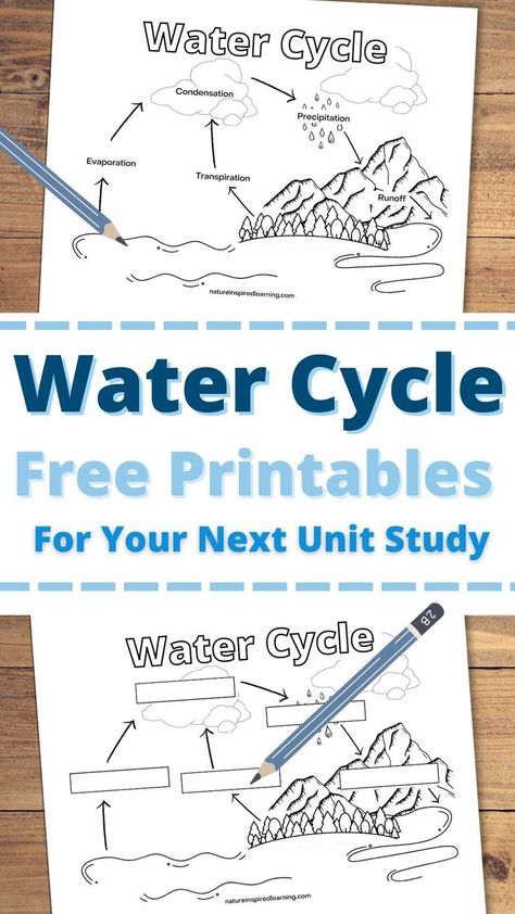 a water cycle coloring page with a blue pencil above a water cycle fill in the blank diagram.  Wooden background with text overlay across the middle. Water Cycle Lessons, Water Cycle For Kids, Weather Lesson Plans, Water Cycle Worksheet, Science Lessons Elementary, Weather Lessons, Science Printables, Elementary Science Activities, The Water Cycle