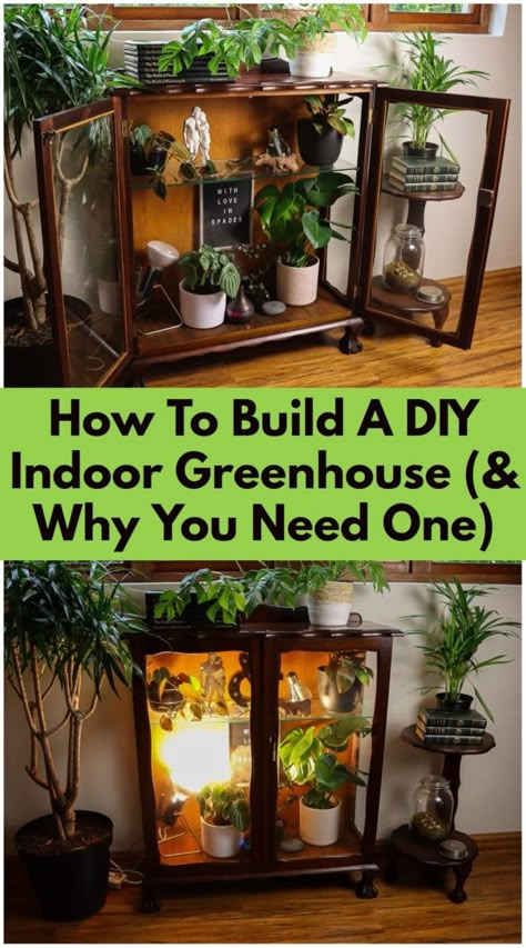 How To Build A DIY Indoor Greenhouse (& Why You Need One) In Home Greenhouse Ideas, Mini Indoor Greenhouse Diy, Plant Growing Shelves, Bookcase Greenhouse, Small Greenhouse Indoor, Tiny Greenhouse Indoor, Diy Garage Greenhouse, How To Build A Plant Stand, Indoor Herb Garden Diy Mini Greenhouse