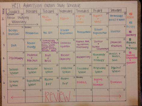 Hesi Study Schedule, Hesi A2 Study Schedule, Hesi A2 Study Guide Biology, Teas Exam Study Schedule, Hesi Exam Study Guides, Hesi A2 Study Cheat Sheets, Hesi A2 Study Guide, Nursing Schedule, Hesi Exam