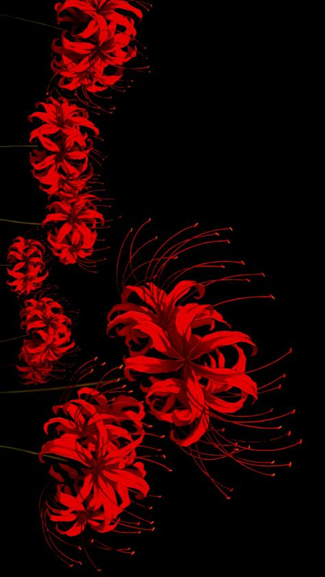 Red Spider Lily Wallpaper Laptop, The Red Spider Lily, Red Demon Slayer Wallpaper, Red Spider Lily Demon Slayer, Spider Lilly Wallpapers, Red Anime Aesthetic Background, Ipad Wallpaper Demon Slayer, Lycoris Rouge, Wallpaper For Computer Aesthetic