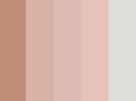 Skin Color Pallet, Amber Luke, Human Skin Color, Procreate Color Palettes, Adobe Color, Sunset Color Palette, Flat Color Palette, Fall Color Schemes, Chocolate Logo