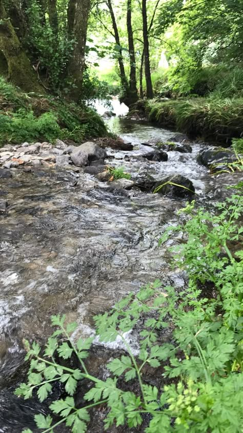 Listening to Babbling Brook with White Noise Pro by TMSOFT. Cabin By Lake, Wilmington Vermont, Babbling Brook, Granny Pod, Sleep Sounds, House Aesthetic, A Frame Cabin, Sparks Joy, Stone Cottage