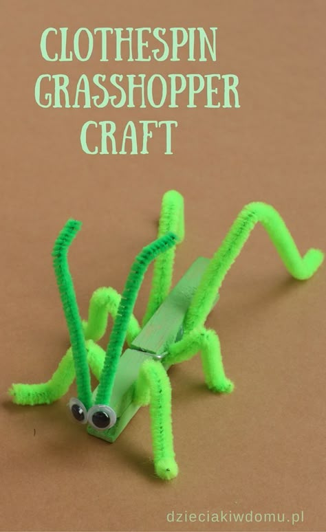 Grasshopper Craft, Vbs Magnified, 2nd Grade Crafts, Toddler Teacher, Insect Crafts, Vbs Themes, Bug Crafts, Elementary Spanish, Clothes Pin Crafts