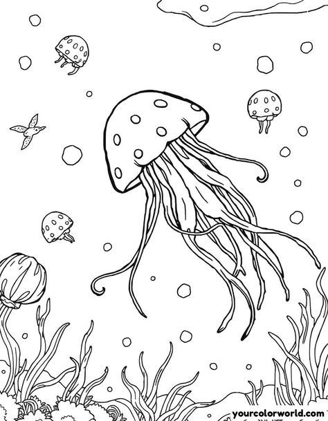 Jellyfish floating gracefully in an underwater scene.

Visit Your Color World to create your own pages! Jellyfish Colouring Page, Jelly Fish Coloring, Undersea Illustration, Underwater Coloring Pages, Jellyfish Coloring Page, Under The Sea Coloring Pages, Sea Coloring Pages, Jellyfish Coloring, Under The Sea Coloring