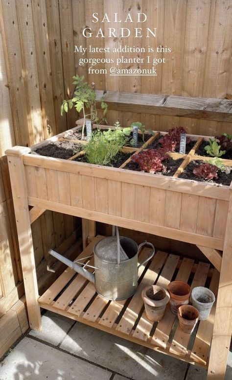 Raised Garden Beds Apartment, Indoor Herb Garden Aesthetic, Patio Garden Ideas Apartment, Herb Cart, Renter Friendly Garden, Raised Herb Garden Ideas, Apartment Greenhouse, Garden Apartment Balcony, Porch Herb Garden