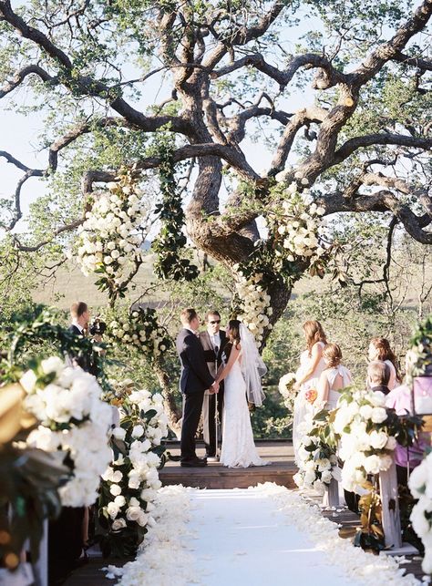 Rustic Wedding Ceremony Oak Tree Wedding Ceremony, Tree Wedding Ceremony, Willow Tree Wedding, Oak Tree Wedding, Backyard Wedding Ceremony, Wedding Alters, Romantic Wedding Receptions, Rustic Wedding Ceremony, Wedding Tree