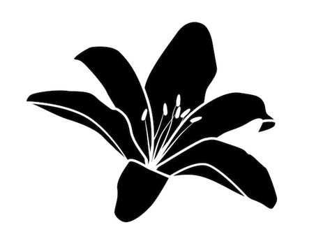 Black Silhouette Tattoos, Silouette Tattoo Black, Graphic Drawing Black And White, Black Flower Drawing, Black And White Design Graphic, Silhouette Images Free, Lilly Stencil, Lily Silhouette, Lily Flower Silhouette