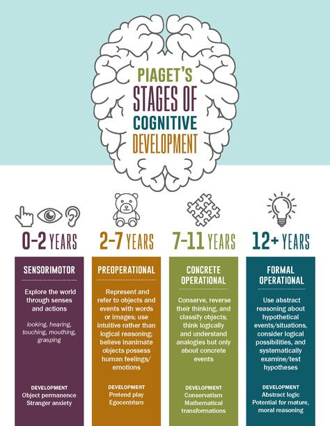 Piaget's Four Stages of Cognitive Development Infographic Human Lifespan Development, Early Childhood Therapy Activities, Jean Piaget Theory Of Cognitive Development, Eriksons Stages Of Development Mnemonic, Piaget Theory Of Cognitive Development, Jean Piaget Cognitive Development, Social Work Infographic, Activities For Cognitive Development, Cognitive Learning Theory