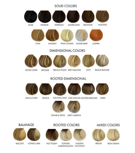 Color wheel for hair