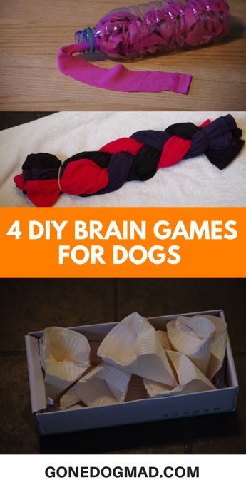 Keeping Puppy Busy Ideas, Puppy Enrichment Ideas, Dog Boredom Busters Diy, Diy Dog Things, Games For Dogs, Canine Enrichment, Homemade Dog Toys, Dog Boredom, Brain Games For Dogs