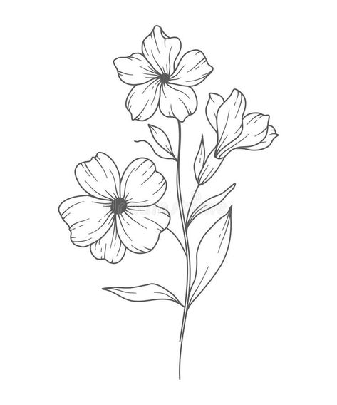 Primrose Flower Line Art. Primrose Outline Illustration. February Birth Month Flower. Primrose Outline Isolated on White Stock Vector - Illustration of branch, botanical: 292538397 February Birth Month Flower, Line Art Botanical, Primrose Flower, February Birth Flowers, Floral Thigh Tattoos, Flower Line Art, Botanical Line Drawing, Hand Embroidery Patterns Free, Flower Line Drawings