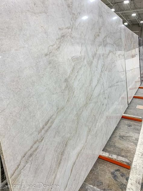 Quartzite Edge Options, Quartzite Countertops Colors Natural Stones, Alexandrita Quartzite Countertops, Quartz And Tile Backsplash Kitchen, White Montreal Quartzite, Busy Quartz Countertops, Platinum Quartzite Countertop, Calcutta Luxe Quartzite Kitchen, Patagonia Quartzite Countertops