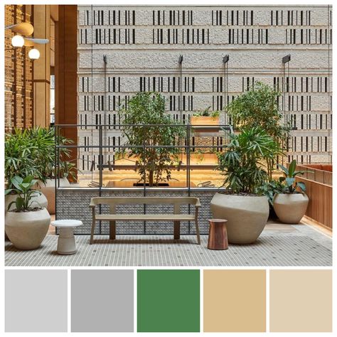 Biophilic design features plants, natural materials and colours inspired by nature, set within an underlying neutral colour scheme. Research indicates that we have an innate affinity with nature, which can have a calming, rejuvenating impact. Colour illustration by Zena O’Connor, PhD © Design Research Associates, featuring 161 Collins Street, Melbourne, designed by Bates Smart. Biophilic Design Color Palette, Biophilic Color Palette, Wabi Sabi Color Palette, Punjab House, Wabi Sabi Color, Biophilic Interior, Natural Office, Biophilic Architecture, Neutral Colour Scheme