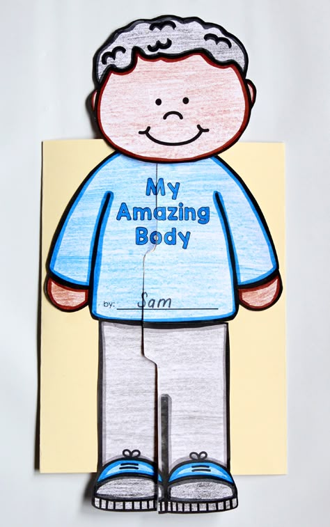 Human Body Anchor Chart 2nd Grade, My Amazing Body Activities, My Body Projects For Preschool, Human Body First Grade, Part Of The Body Activities, The Human Body Activities For Kids, Human Body Activities For Kids Preschool, My Body Activities For Kids, Interoception Activities For Kids