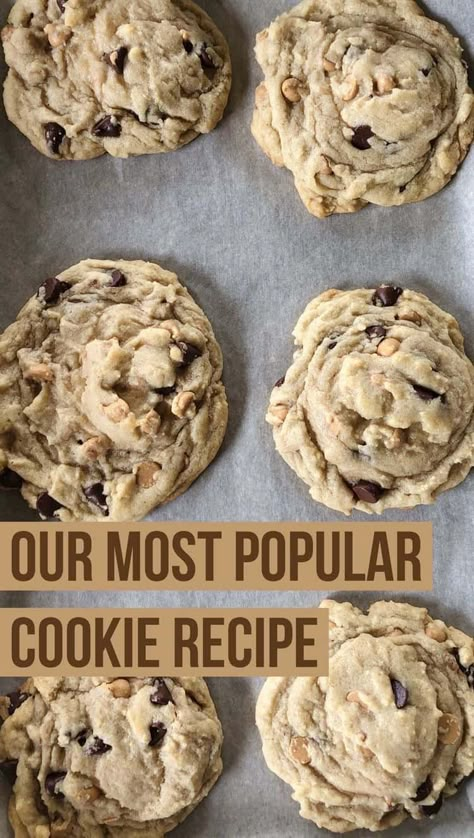 Chocolate Peanut Butter Chip Cookies, Best Cookie Recipe Ever, Peanut Butter Chip Cookies, Dark Chocolate Peanut Butter, Popular Cookies, Dog Biscuit, Peanut Butter Chocolate Chip Cookies, Dessert Dips, Food Cookies