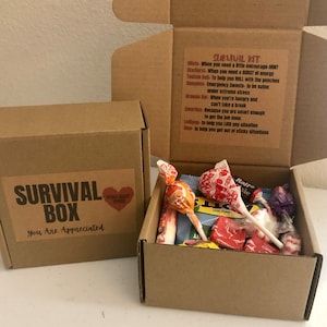 Emergency Survival Kit. Best Employee Appreciation Gifts.unique Employee Appreciation Gifts. Best Employee Appreciation Gifts. - Etsy Employee Appreciation Gift Baskets, Work Survival Kit Ideas, Welcome Gifts For New Employees, Fun Employee Appreciation Ideas, Marketing Goodies, Best Employee, Survival Kit Gifts, September Gift, Emergency Survival Kit