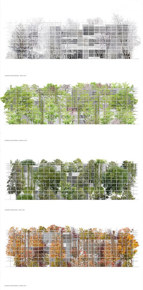 Gallery of Sustainable Proposal Envisions Krakow's New Science Center as a Tiered Garden - 13 Green Building Architecture, Social Housing Architecture, Planters Indoor, Galleries Architecture, Yard House, Green Facade, Tiered Garden, Succulent Planters, Architecture Concept Diagram