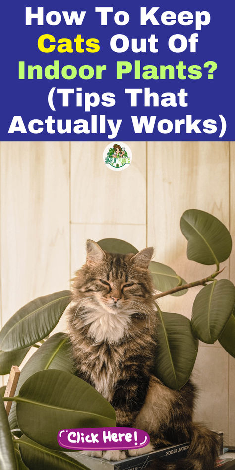 "Discover effective tips on how to keep cats out of indoor plants and create 
a cat-friendly living space! Learn how to cat-proof your plants and find 
plant display ideas that keep your greenery safe. Explore plants that cats 
won't eat and strategies for keeping cats away from plants. Transform your 
home into a cat-friendly haven with our expert advice on keeping plants out of cats' reach! Perfect for pet owners looking to protect their beloved plants while ensuring a harmonious environment." How To Keep Cats Out Of Plants Houseplant, Cat Proof Indoor Herb Garden, Cat Proof House Plants, Cat Friendly Decorating, Keeping Cats Out Of Plants, How To Keep Cats Out Of House Plants, Protect Plants From Cats, How To Keep Cats Out Of Plants, Cat Tips Indoor