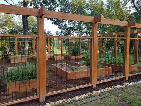 Minnesota Gardening, Garden Enclosures, Garden Enclosure Ideas, Garden Enclosure, Deer Fencing, Deer Resistant Garden, Ornamental Wood, Fenced Vegetable Garden, Deer Fence