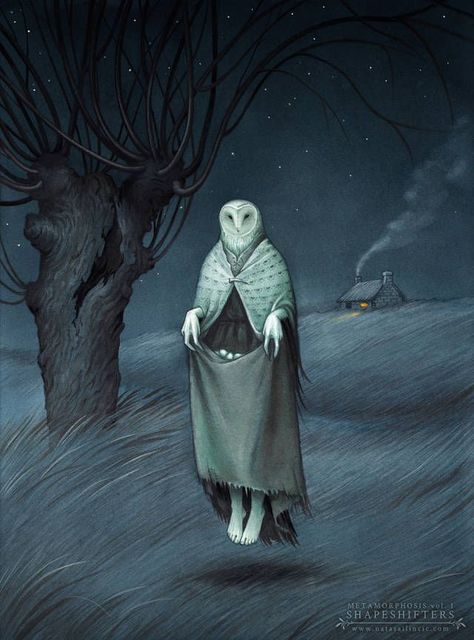 Prince Stolas, Owl Witch, Folk Horror, Witch Art, Witch Aesthetic, Weird Creatures, Owl Art, Barn Owl, Dark Art