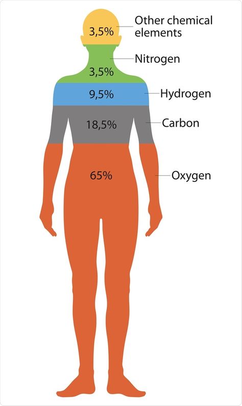 Extracellular Fluid, Signal Transduction, Osmotic Pressure, Chemical Elements, Hyperbaric Oxygen Therapy, Acid Base Balance, Organic Molecules, Nucleic Acid, Teaching Biology