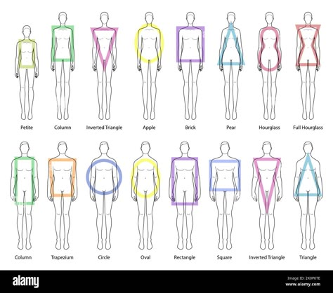 Drawing Base Shapes, Inverted Triangle Body Drawing, Body Shape Chart Women, Men Body Shape Drawing, Triangle Body Shape Drawing, Triangle Shape Language Character Design, Triangle Shape Character Design, Male Body Shapes Drawing, How To Draw Body Types