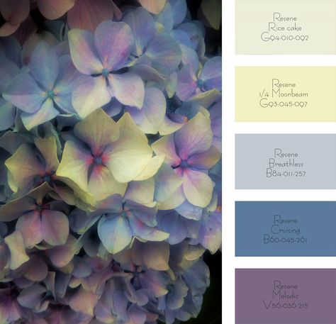 #hydrangea hues colour palette Hydrangea Color Palette, Exterior Paint Schemes, Hydrangea Colors, Hue Color, Paint Schemes, Blue Hydrangea, Colour Palettes, Color Of Life, Material Design