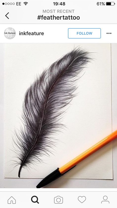 Feather Tattoo Realistic, Feather Drawing Pencil, Feather Ink Drawing, Feather Turning Into Birds Tattoo, Feather Drawing Biro, Ink Drawing, Pen, Tattoos, Drawings