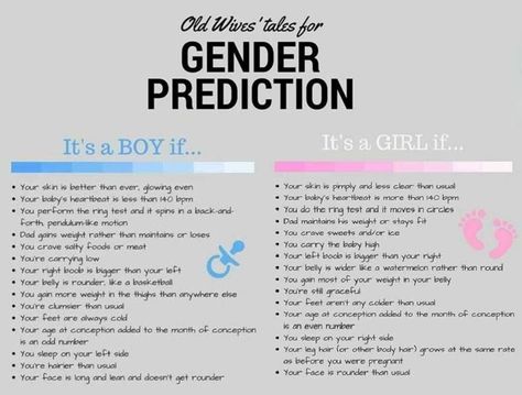 Gender Reveal Timeline, Early Gender Prediction, Ramzi Theory, Gender Reveal Prediction Board, Gender Reveal Wives Tales Signs, Gender Reveal Prediction Cards, Pregnancy Gender Prediction, First Pregnancy Announcements, Lets Make A Baby